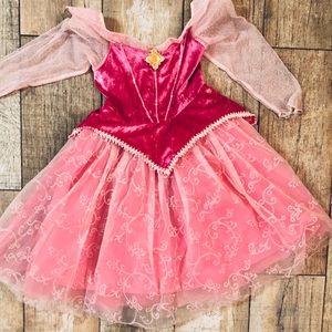 Sleeping Beauty Dress - Walt Disney World-Size 4-6